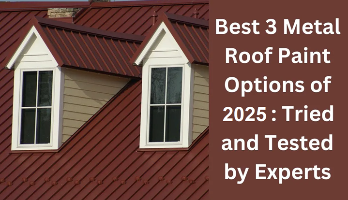 3 Best Metal Roof Paint Options of 2025 (Tried and Tested by Experts)