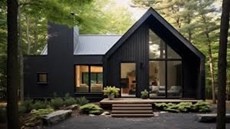 Black Vinyl Siding Color